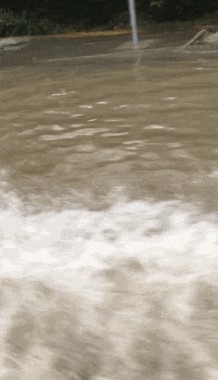 1596682950578298.gif 640 (3).gif