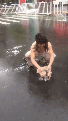 1596685549992379.gif 640 (1).gif