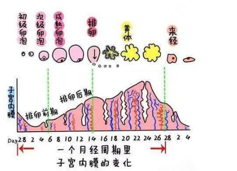 1614043676988423.png blob.png